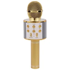 میکروفون اسپیکر سینگ ای ZQS858 Sing-E