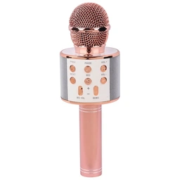 میکروفون اسپیکر سینگ ای ZQS858 Sing-E