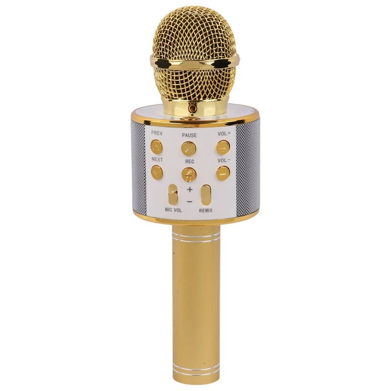 میکروفون اسپیکر سینگ ای ZQS858 Sing-E