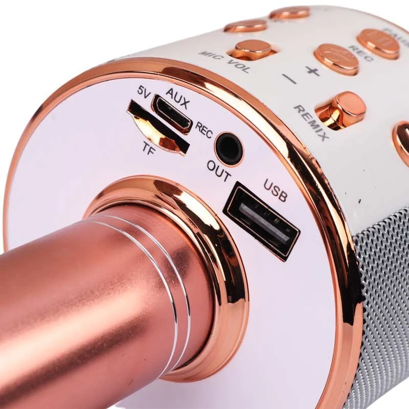 میکروفون اسپیکر سینگ ای ZQS858 Sing-E